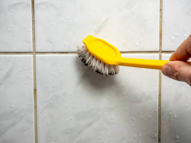 Best Mold Cleaning Services  in North College Hill, OH