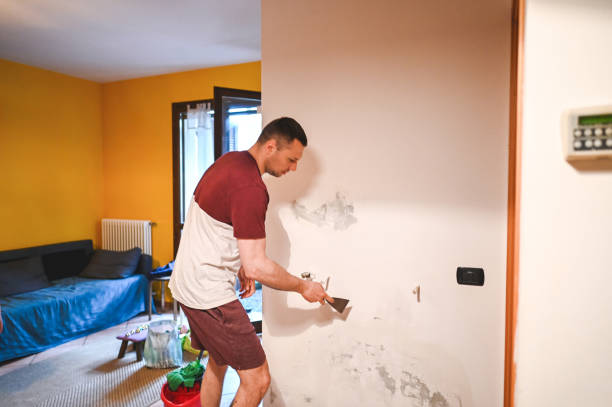 Best Black Mold Removal  in North College Hill, OH